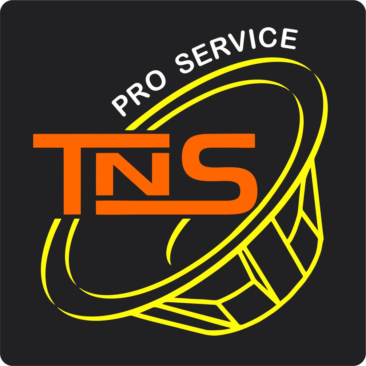 TNS Logo